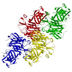 Image of CATH 4fsl