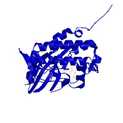 Image of CATH 4fsn