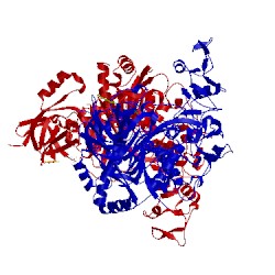 Image of CATH 4ft4