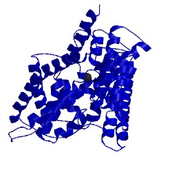 Image of CATH 4ftp