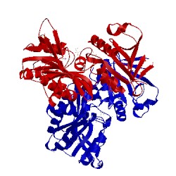 Image of CATH 4fu0