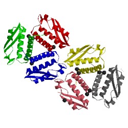 Image of CATH 4fur