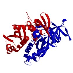 Image of CATH 4fw2