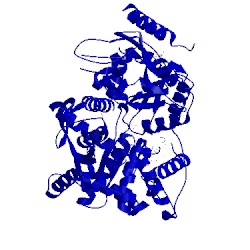 Image of CATH 4fwg