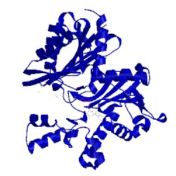 Image of CATH 4fwp