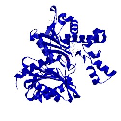 Image of CATH 4fwq
