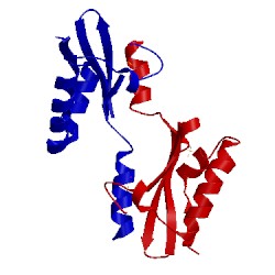 Image of CATH 4fxh