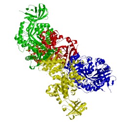 Image of CATH 4fxj