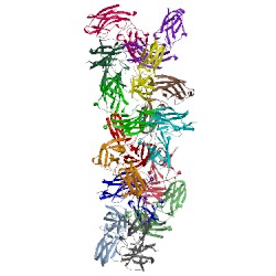 Image of CATH 4fxt