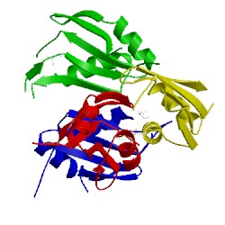 Image of CATH 4fxv