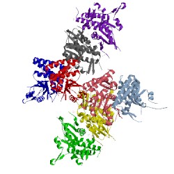 Image of CATH 4fym