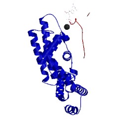 Image of CATH 4g01