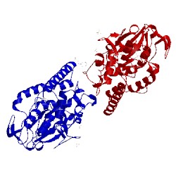 Image of CATH 4g0i