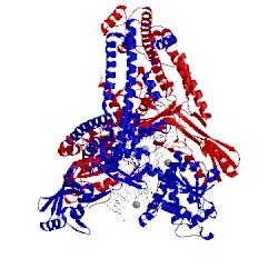 Image of CATH 4g0v