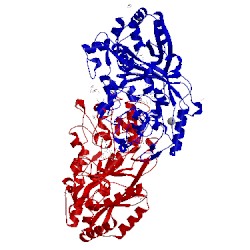 Image of CATH 4g2c