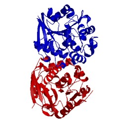 Image of CATH 4g5x