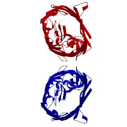 Image of CATH 4gcp
