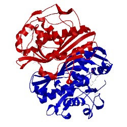 Image of CATH 4gev