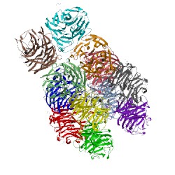 Image of CATH 4gez
