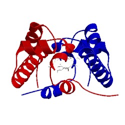Image of CATH 4ghj