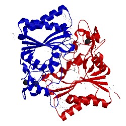 Image of CATH 4gi5