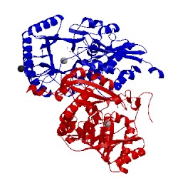 Image of CATH 4gis