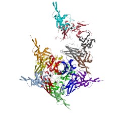 Image of CATH 4gko