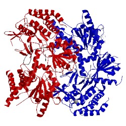 Image of CATH 4gl2