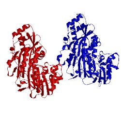 Image of CATH 4gl8