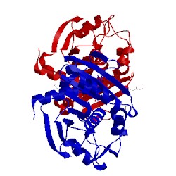 Image of CATH 4glb