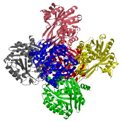 Image of CATH 4gm6
