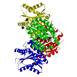 Image of CATH 4gmd