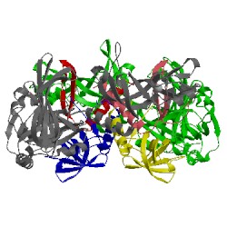 Image of CATH 4gnx