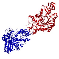 Image of CATH 4go8
