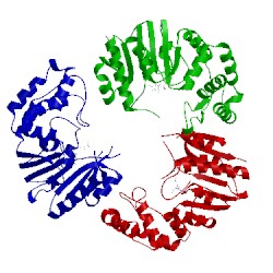 Image of CATH 4gom