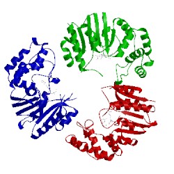 Image of CATH 4gon