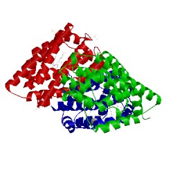 Image of CATH 4gpf