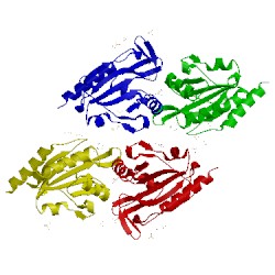 Image of CATH 4gqc
