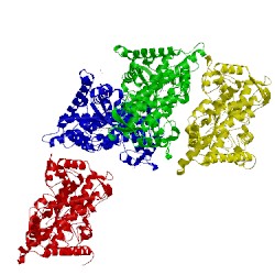 Image of CATH 4gqs