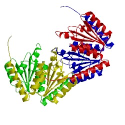 Image of CATH 4grd
