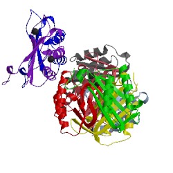 Image of CATH 4gro