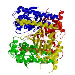 Image of CATH 4gtc