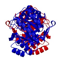 Image of CATH 4guh