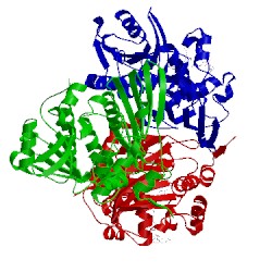 Image of CATH 4gvq