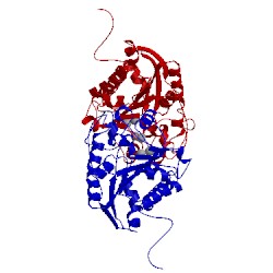 Image of CATH 4gwc