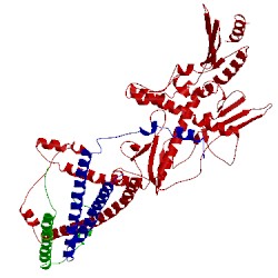 Image of CATH 4gwq