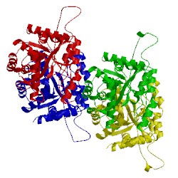 Image of CATH 4gx9