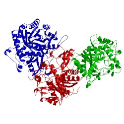Image of CATH 4gxp
