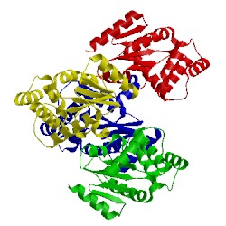 Image of CATH 4gxz