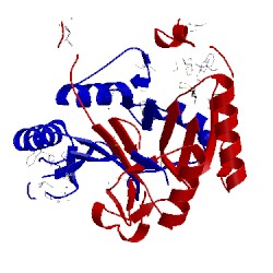Image of CATH 4gym
